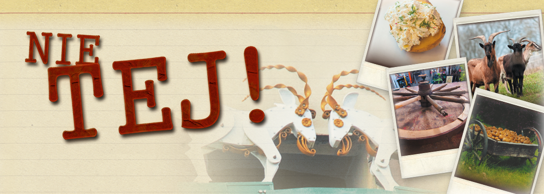 banner główny